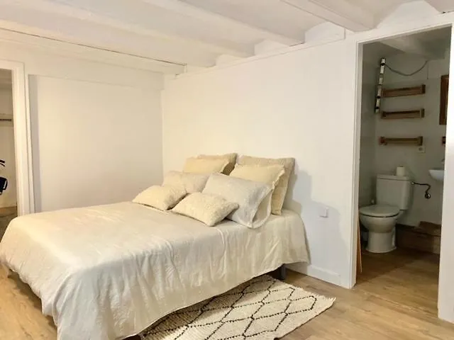 Apartment New Design In Center. Barcelona